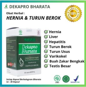 Obat herbal hernia dan turun berok
