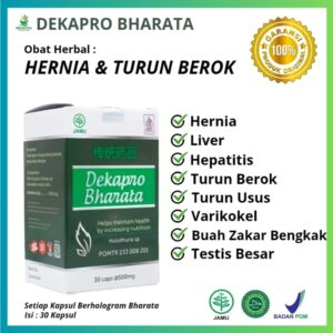 Obat herbal hernia dan turun berok