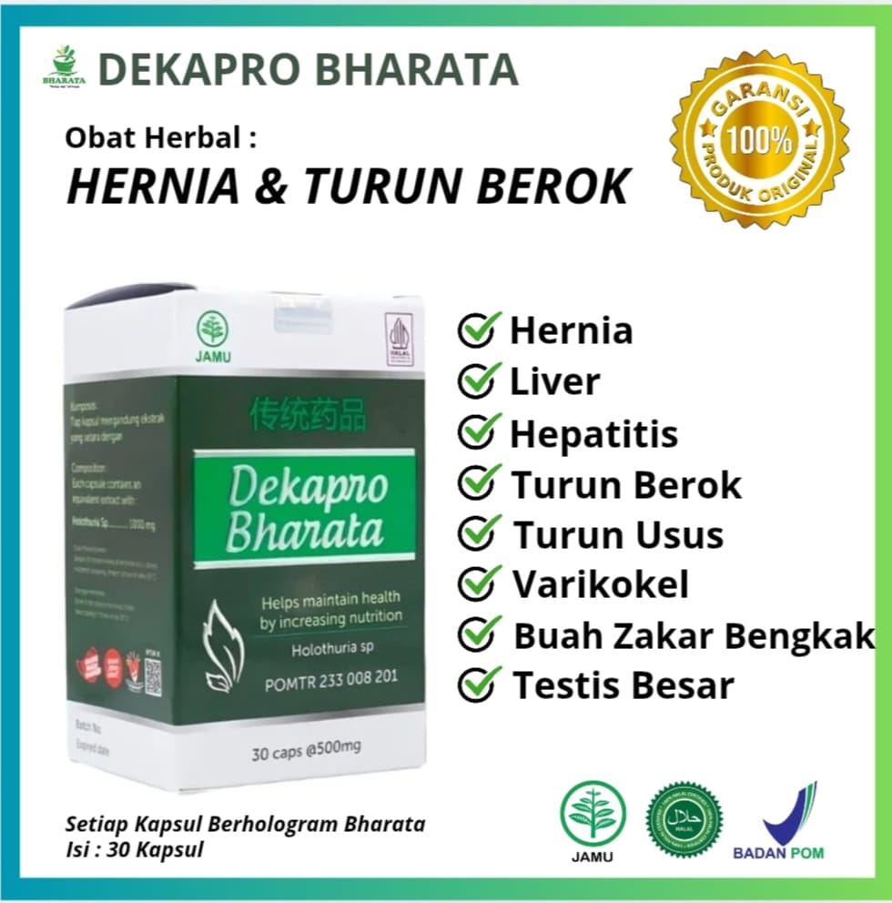 Obat herbal hernia dan turun berok