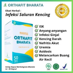 obat herbal infeksi saluran kencing orthafit bharata