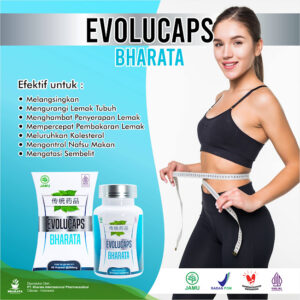 obat herbal pelangsing tubuh evolucaps bharata