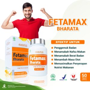 obat herbal penggemuk badan fetamax bharata