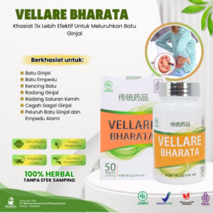 obat herbal radang batu ginjal kemih vellare bharata