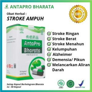 obat herbal stroke ampuh antapro bharata